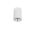 Dermot biały LED COB 10W 3000K UGR<22 IP65 Downlight | Tuba zewnętrzna