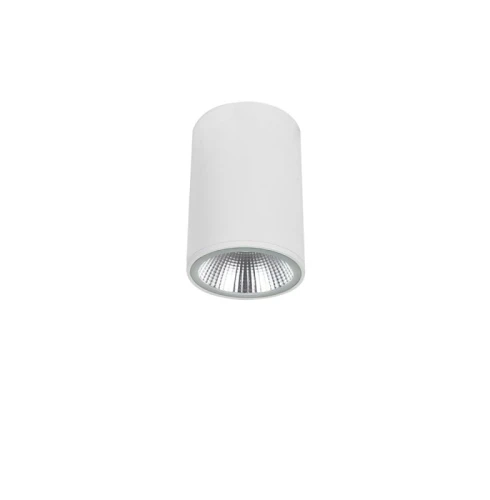 Downlight | Tuba zewnętrzna Dermot biały LED COB 10W 3000K