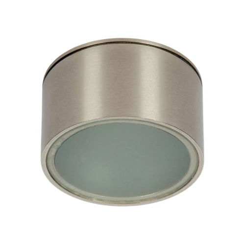 Zewnętrzna oprawa sufitowa Braso chrom szczotkowany GX53 IP65