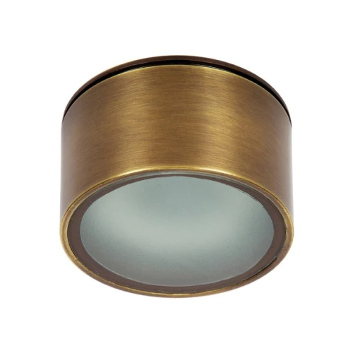 Zewnętrzna oprawa sufitowa Braso brązowy GX53 IP65