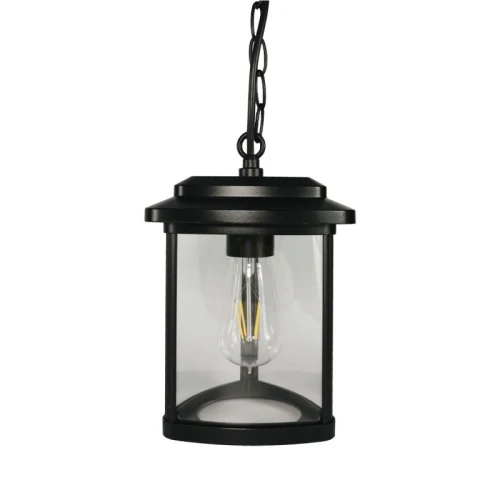 Trójkątna zewnętrzna lampa wisząca Tes czarna E27