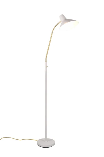 082db0520750e17fb34d0141b5e368f5