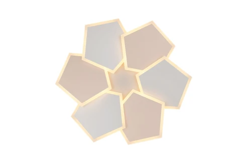 73646bce1f73a3acf4d8eb2d8208f5a5