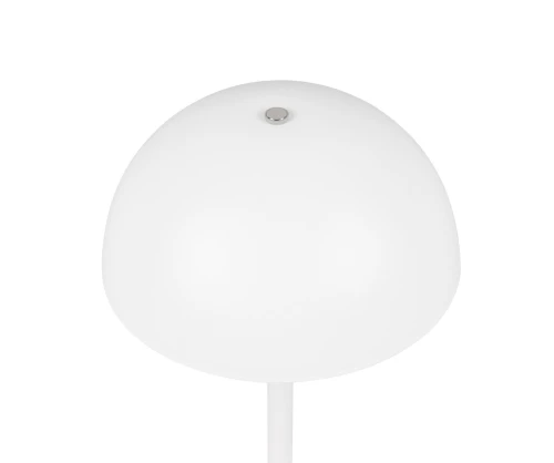 ccffe297eb8a98bfcd0127daf6718458