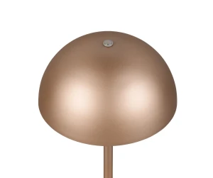 MUNOZ - Lampa stołowa 1xLED zintegrowany 3000K - kolor brązowy i odcienie brązu