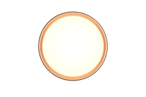 FELIS - Nowoczesna lampa sufitowa 1xLED zintegrowany 2700-6500K - kolor czarny