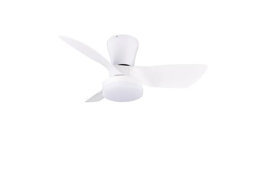 de77c8ffe03c4f58b14c1ad1ee4aeb30