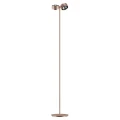 483561.jpgaura-rozowe-zloto-lampa-stojaca-led-2x10w-regulowane-glowice-360-cri90
