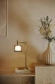 nala-matowy-mosiadz-49-8cm-e14-szklana-lampa-stolowa