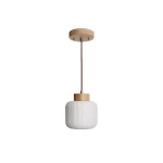ALENA 3 biała z drewnem Ø20 cm szklana lampa wisząca E27