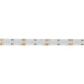 tasma-led-cob-rgb-cct-24v-5m-25w-m-3000-6500k-02.jpg