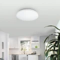 Plafon Rob LED 20W szer. 29cm 4000K 1400lm Rabalux 2284  5998250322841 lampynox noxbox www.lampynox.pl 2.jpg