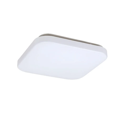 Plafon Rob LED 20W szer. 29cm 3000K 1400lm Rabalux 3340  5998250333403 lampynox noxbox www.lampynox.pl 1.jpg