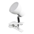 Lampka stołowa z klipsem Noah biała LED 5W 3000K Rabalux 1477  5998250314778 lampynox noxbox www.lampynox.pl 1.jpg