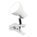 Lampka stołowa z klipsem Noah biała LED 5W 3000K Rabalux 1477  5998250314778 lampynox noxbox www.lampynox.pl 2.jpg