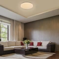 Lampa sufitowa Milena LED 24W śr. 39cm. 3000K Rabalux 2675  5998250326757 lampynox noxbox www.lampynox.pl 4.jpg