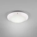 Lampa sufitowa zewnętrzna Camaro Biała E27 śr. 26cm IP54 RL R60501031  4017807405873 lampynox noxbox www.lampynox.pl 2.jpg