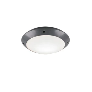 Camaro Antracyt E27 śr. 26cm IP54 Lampa sufitowa zewnętrzna RL R60501042