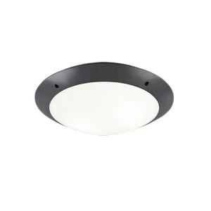 Camaro Antracyt E27 śr. 33cm IP54 Lampa sufitowa zewnętrzna RL R60502042