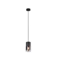 Lampa wisząca Trio ROBIN E27 310600132  4017807427264 noxbox lampynox www.lampynox.pl 1.jpg