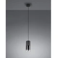 Lampa wisząca Trio ROBIN E27 310600132  4017807427264 noxbox lampynox www.lampynox.pl 2.jpg