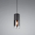 Lampa wisząca Trio ROBIN E27 310600132  4017807427264 noxbox lampynox www.lampynox.pl 4.jpg