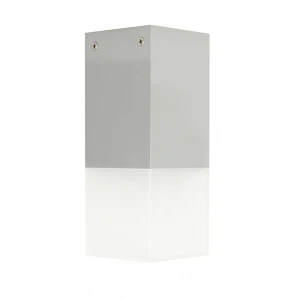 Cube Srebrna E27 Lampa sufitowa zewnętrzna CB-S AL