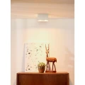 Downlight BODI szer. 16,5cm Biały 2xGU10 Lucide 091010231  5411212091598 lampynox noxbox www.lampynox.pl 3.jpg