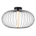 Lampa sufitowa ściemnialna CARBONY Czarna LED 5W 2700K Lucide 201145030  5411212201898 lampynox noxbox www.lampynox.pl 3.jpg