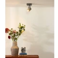 Spot CONNI-LED 5W ściemnialny GU10 3000K Lucide 059130536  5411212050632 lampynox noxbox www.lampynox.pl 3.jpg
