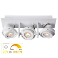Spot LANDA Biała LED 3x5W 2200-3000K ściemnialna GU10 Lucide 179061631  5411212176868 lampynox noxbox www.lampynox.pl 2.jpg