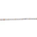 Pasek LED Tuya music Polux Wi-Fi 5m 4000K+RGB IP65 313928  5901508313928 lampynox noxbox www.lampynox.pl 5.jpg
