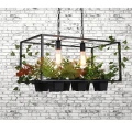 Lampa wisząca z kwiatkami HYGE IL MIO czarna 2xE27 Polux 313843  5901508313843 lampynox noxbox www.lampynox.pl 2.jpg