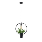 IL MIO SOREN czarna E27 okrągła z kwiatkiem Lampa wisząca Polux