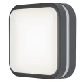 Plafon zewnętrzny HAMBURG LED 12W szer. 28,5cm. IP44 4000K Rabalux 8850  5998250388502 lampynox noxbox www.lampynox.pl 4.jpg