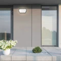 Kinkiet zewnętrzny SALVADOR LED 10W IP65 4000K Rabalux 8114  5998250381145 lampynox noxbox www.lampynox.pl 4.jpg