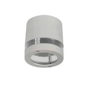 FOCUS Srebrny mat GU10 IP44 Downlight zewnętrzny Lutec 6304201112