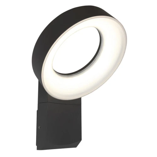 Kinkiet zewnętrzny MERIDIAN Antracyt LED 14W IP54 3000K Lutec 5616302118 4250294311351 noxbox lampynox www.lampynox.pl 1.jpg