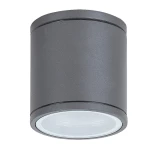 Akron Downlight IP54 GU10 Rabalux 8150 