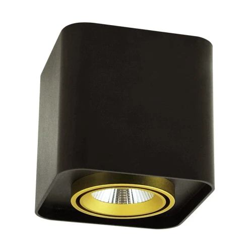 Oprawa natynkowa LED XENO kwadrat 3000K 10W 800lm czarny-złoty Polux 312006  5901508312006 lampynox noxbox www.lampynox.pl 1.jpg