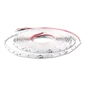POLUX LT35605MBUW0-1 12V 24W 5m IP20 F2hires 800.jpg