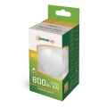 Filament LED KULKA E-14 230V 6W COG NW MILKY SPECTRUM WOJ+14395  5902650569195 lampynox noxbox www.lampynox.pl 2.jpg