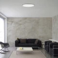 Plafon z pilotem ściemnialny, barwa światła zmienna Taleb Srebrna LED 40W DIM szer. 60cm. 3000K-6500K Rabalux 2191  5998250321912 noxbox lampynox www.lampynox.pl 2.jpg