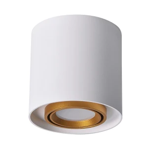 EGER | XENO GU10 okrągła biało-złote Downlight Polux 