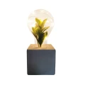 Lampa dekoracyja LED LIV2 na baterie szara Polux 315090  5901508315090 lampynox noxbox www.lampynox.pl 3.jpg