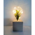 Lampa dekoracyja LED LIV2 na baterie szara Polux 315090  5901508315090 lampynox noxbox www.lampynox.pl 5.jpg