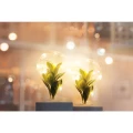 Lampa dekoracyja LED LIV2 na baterie szara Polux 315090  5901508315090 lampynox noxbox www.lampynox.pl 6.jpg