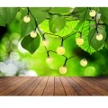 Girlanda solarna KULKI Transparentne 30LED Polux 315236  5901508315236 lampynox noxbox www.lampynox.pl 5.jpg