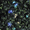 Girlanda solarna FLOWER Multi 50LED Polux 315243  5901508315243 lampynox noxbox www.lampynox.pl 9.jpg