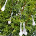 Girlanda solarna ICE 30LED Polux 315250  5901508315250 lampynox noxbox www.lampynox.pl 3.jpg